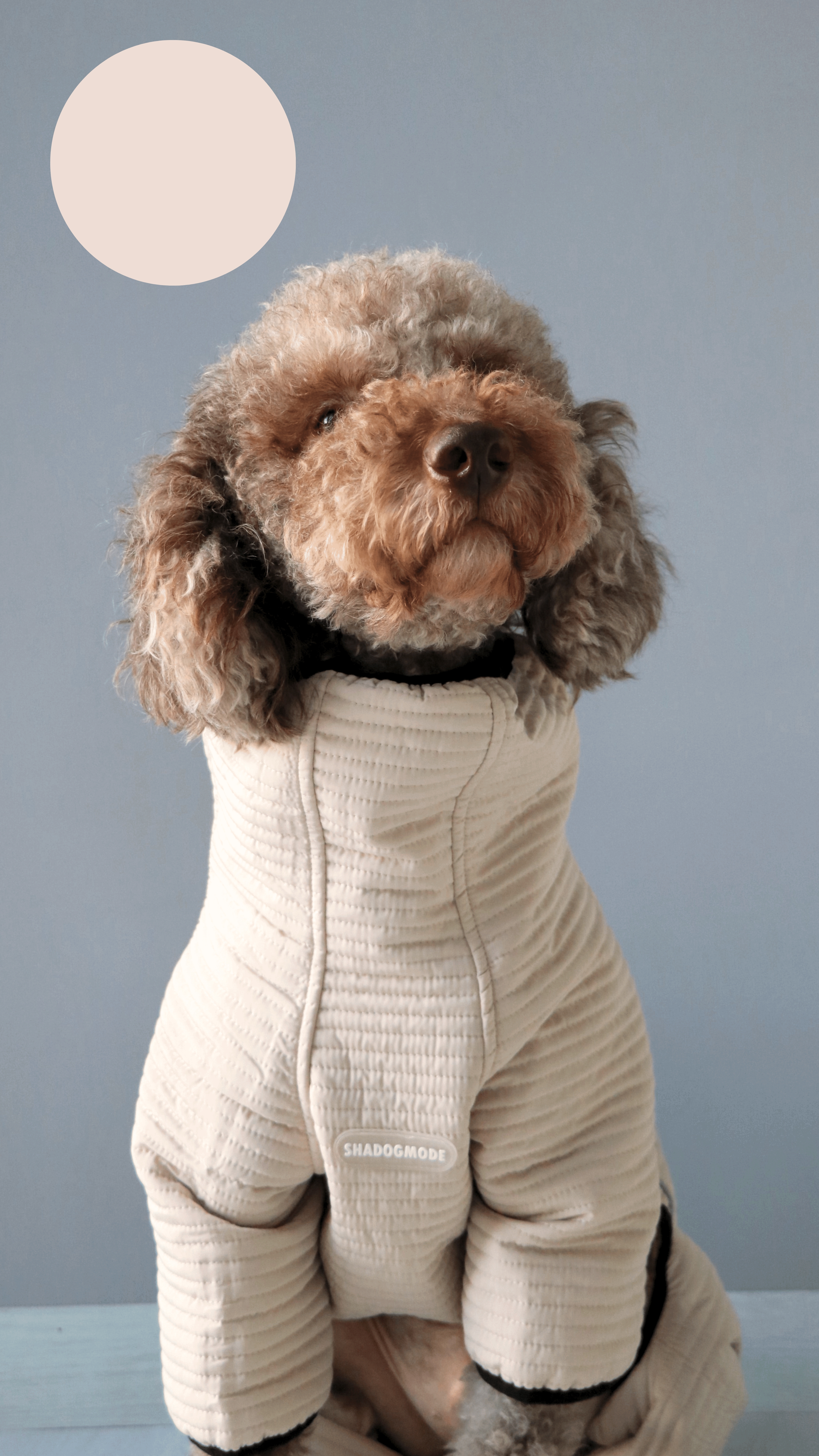 BEIGE MONT